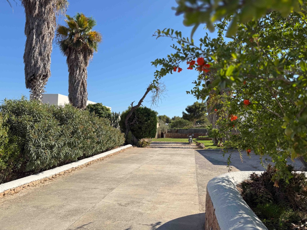 Jardines mediterráneos